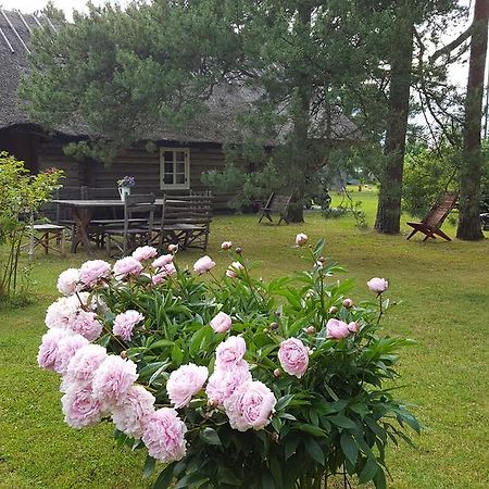 Maenni Summerhouse Kassari Bagian luar foto
